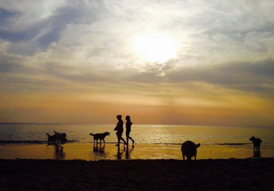 Dolce Vita Campiglia Marittima Zewnętrze zdjęcie