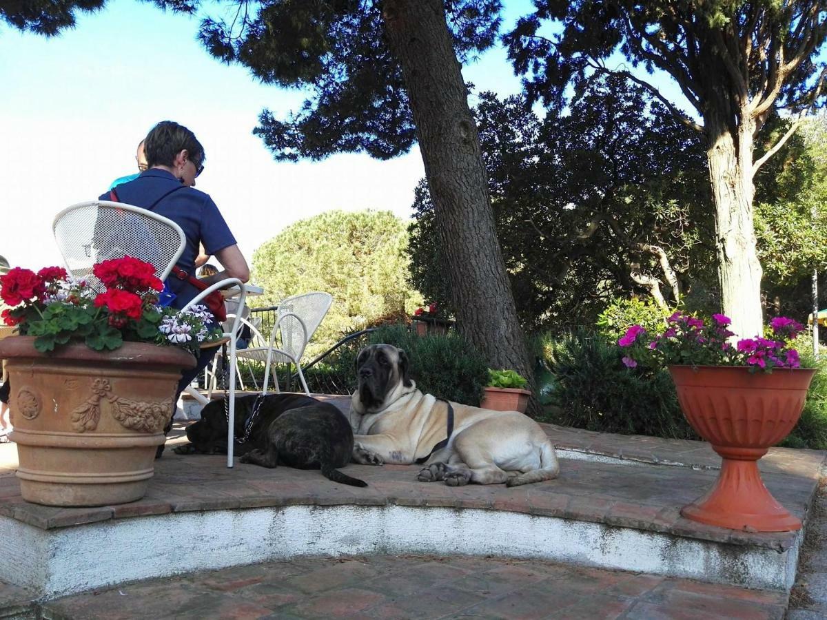 Dolce Vita Campiglia Marittima Zewnętrze zdjęcie