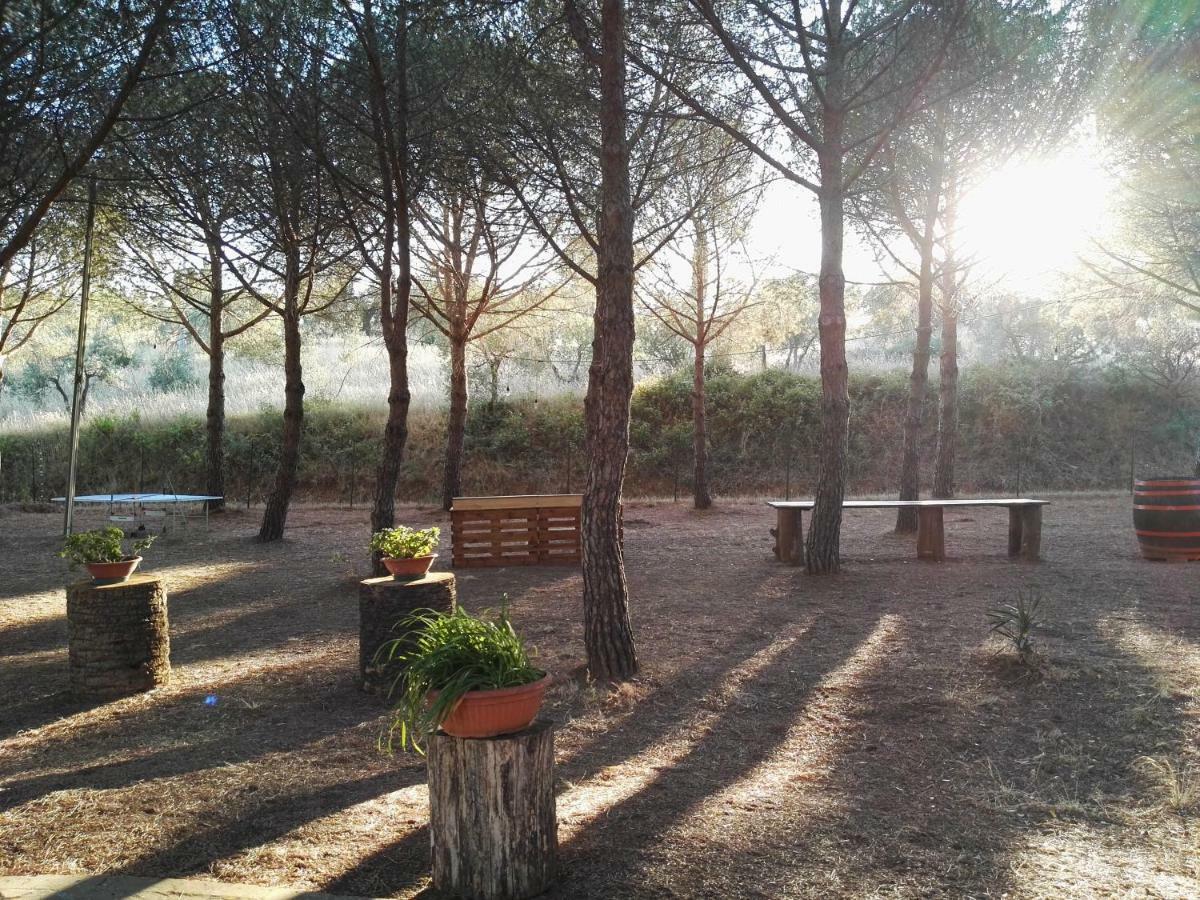 Dolce Vita Campiglia Marittima Zewnętrze zdjęcie